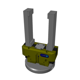 PGN_plus_80_1